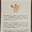 카페라또 | 강원 양양 더위 식히기 좋은 수제소르베 배배젤라또 내돈내산 후기