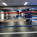 비노짐킥복싱 이미지