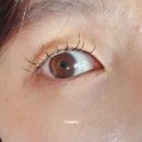 에스테틱공간 속눈썹연장&펌