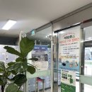 사당문화회관 | 관리공단] 남성역 근처 사당문화회관 아이패드 디지털 드로잉 클래스 / 아이패드 드로잉 수업 솔직후기 〰️