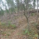 배산다원태양광발전소 | 호남정맥 11구간 피재-감나무재-골재-봇재-그럭재