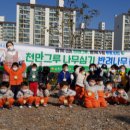 순천 나무숲 이미지