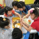 선운초등학교 이미지