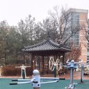 아리랑유도체육관 이미지