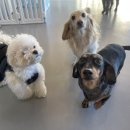 옐레드 시흥은계호수점 이미지