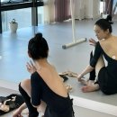 성인발레핏 이미지