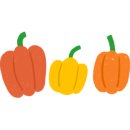 채식요리(주간) 이미지