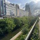 연결녹지4호2 이미지