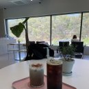 동리 | [동탄 조용한 카페 추천] :: 카페 동리 방문 후기 (조용한 숲뷰, 자연뷰 힐링카페)