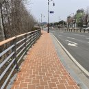 궁남초등학교 앞 이미지