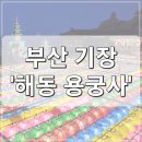[부산] 부산 여행 기장 가볼만한 곳 &#39;해동 용궁사&#39; 주차 입장료 입장시간