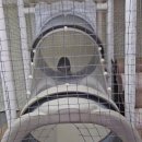 홍삼천국 | 파주 명품숯불민물장어 소고기 돼지고기 무한리필 홍삼스파점 솔직 후기