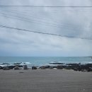 바다가 그리울때 | 제주 바다 바로 앞 감성카페 🌴 그리울땐 제주