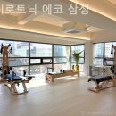 자이로토닉에코 네이버블로그