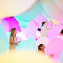 스튜디오콜렉티브 이미지