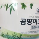 지수페인트