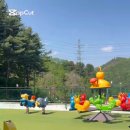 샤샤키즈풀빌라 이미지