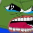 신정호쭈꾸미 이미지