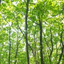 김용사 주차장 이미지