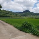 귀농공인중개사사무소 이미지