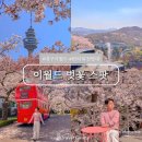두류타워모텔 | 대구 이월드 자유이용권 83타워 입장료 벚꽃 스팟 총정리
