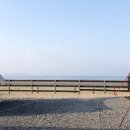 몽산포오토캠핑장 이미지