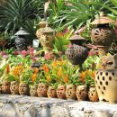 완도중앙초등학교 이미지