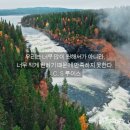 생명의 그물 2 이미지