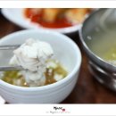 광성복어 이미지