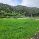 푸른들공인중개사사무소 이미지