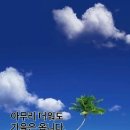 호원덴트칼라 이미지