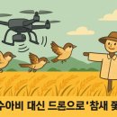 참새&허수아비 이미지