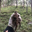 현영농장 이미지