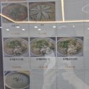 전주 중화산동 칼국수 맛집/진 칼국수/내돈내산 후기