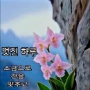 멋진하루 이미지