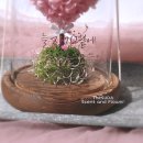 더수다 (TheSuDa) 이미지