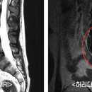 해오름마취통증의학과의원 이미지