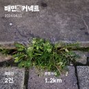 잡커넥트 이미지