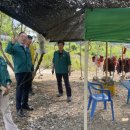 화촌면 주음치교 이미지