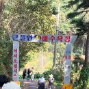 대이작치안센터 | 인천 보물섬여행, 대이작도 1박2일 후기