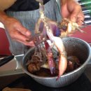 방게농장 | 서산 갯뻘 헤루질