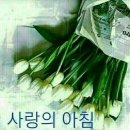 행복한하루