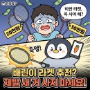 이용대체육관 | 중고 배드민턴 라켓, 도장 까짐은 OK 크랙은 NO! 실패 없는 구별법 (feat.당근당근)