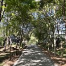 부여사랑마트 이미지