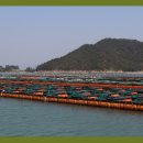 신선한먹거리