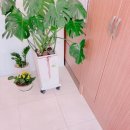 CU수성신매점 이미지