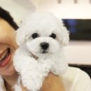 스타미용타운 이미지
