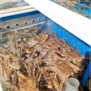 동해안회센타 이미지