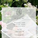 여수 순천 웨딩 본식 스냅 / 아이폰 스냅 오름스냅 (오름픽쳐스) 계약 후기