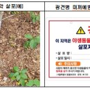 둘레길 동물병원 이미지